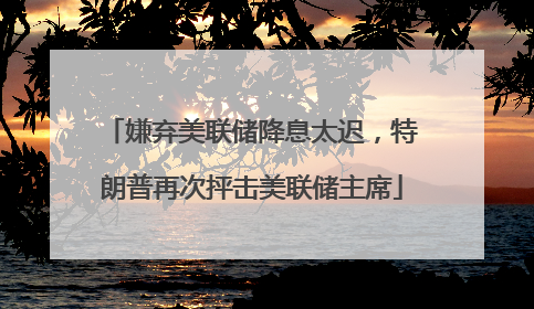 嫌弃美联储降息太迟，特朗普再次抨击美联储主席