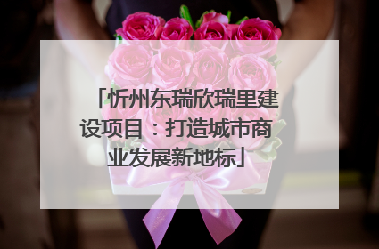 忻州东瑞欣瑞里建设项目：打造城市商业发展新地标