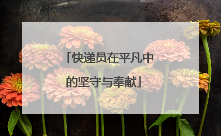 快递员在平凡中的坚守与奉献