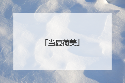 当夏荷美