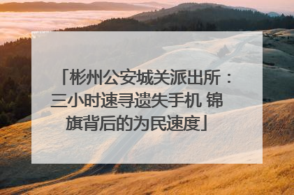 彬州公安城关派出所：三小时速寻遗失手机 锦旗背后的为民速度
