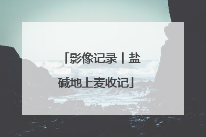 影像记录丨盐碱地上麦收记