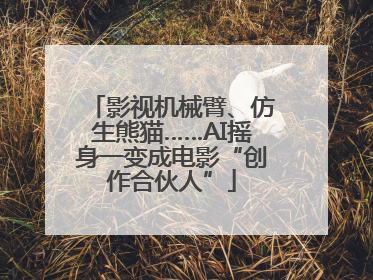 影视机械臂、仿生熊猫……AI摇身一变成电影“创作合伙人”