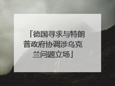 德国寻求与特朗普政府协调涉乌克兰问题立场