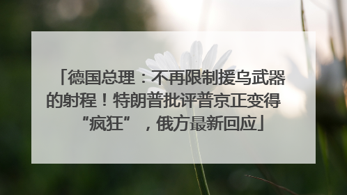 德国总理：不再限制援乌武器的射程！特朗普批评普京正变得“疯狂”，俄方最新回应