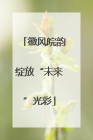徽风皖韵绽放“未来”光彩