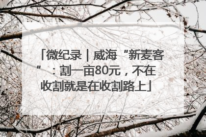 微纪录｜威海“新麦客”：割一亩80元，不在收割就是在收割路上