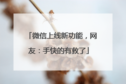 微信上线新功能，网友：手快的有救了