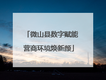 微山县数字赋能营商环境焕新颜