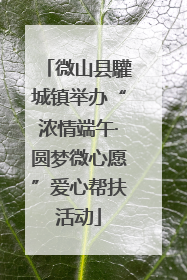 微山县驩城镇举办“浓情端午·圆梦微心愿”爱心帮扶活动