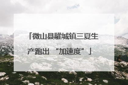微山县驩城镇三夏生产跑出 “加速度”