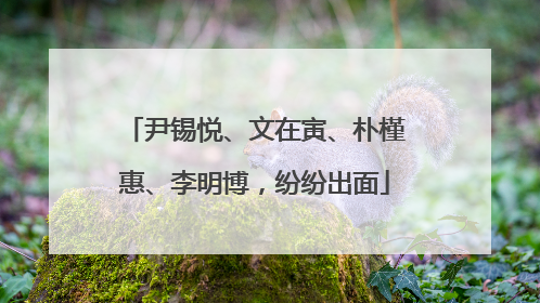 尹锡悦、文在寅、朴槿惠、李明博，纷纷出面