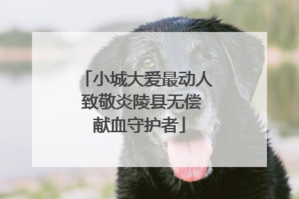 小城大爱最动人 致敬炎陵县无偿献血守护者