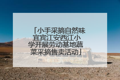 小手采摘自然味 宜宾江安西江小学开展劳动基地蔬菜采摘售卖活动