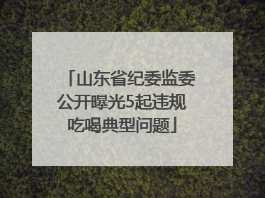 山东省纪委监委公开曝光5起违规吃喝典型问题