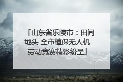山东省乐陵市：田间地头 全市植保无人机劳动竞赛精彩纷呈