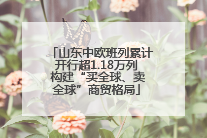 山东中欧班列累计开行超1.18万列 构建“买全球、卖全球”商贸格局