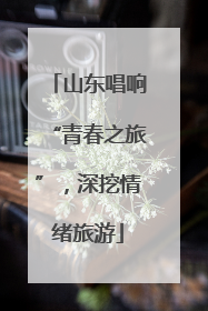 山东唱响“青春之旅”，深挖情绪旅游
