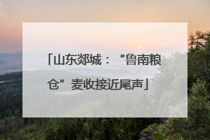 山东郯城：“鲁南粮仓”麦收接近尾声