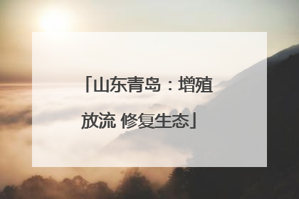 山东青岛：增殖放流 修复生态