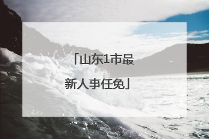 山东1市最新人事任免