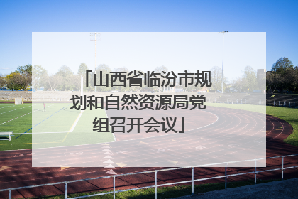 山西省临汾市规划和自然资源局党组召开会议