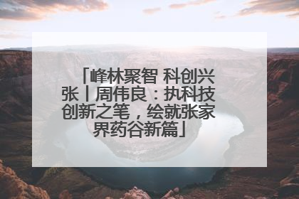 峰林聚智 科创兴张丨周伟良：执科技创新之笔，绘就张家界药谷新篇