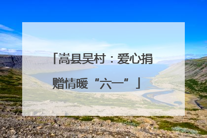 嵩县吴村：爱心捐赠情暖“六一”