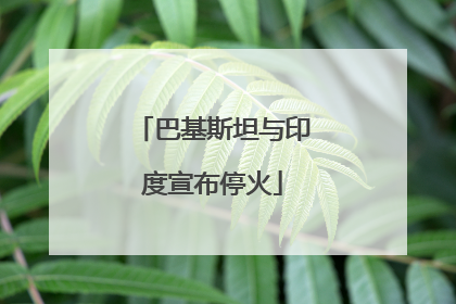 巴基斯坦与印度宣布停火