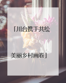 川台携手共绘美丽乡村画卷