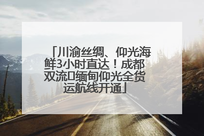 川渝丝绸、仰光海鲜3小时直达！成都双流⇌缅甸仰光全货运航线开通