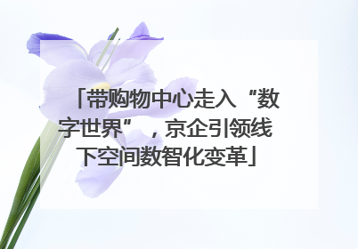 带购物中心走入“数字世界”，京企引领线下空间数智化变革