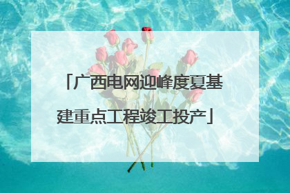 广西电网迎峰度夏基建重点工程竣工投产