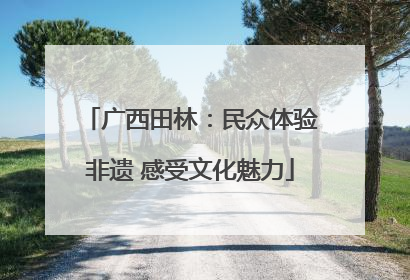 广西田林：民众体验非遗 感受文化魅力