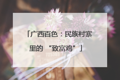 广西百色：民族村寨里的 “致富鸡”