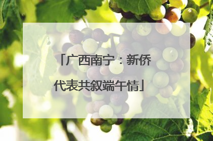 广西南宁：新侨代表共叙端午情