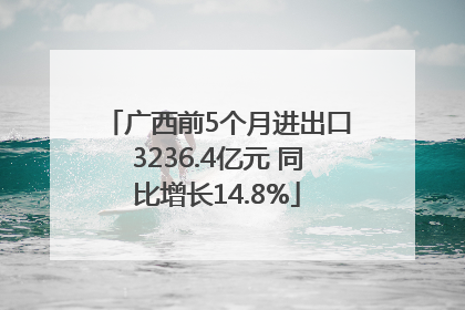 广西前5个月进出口3236.4亿元 同比增长14.8%