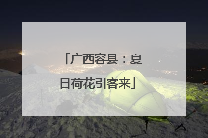 广西容县：夏日荷花引客来