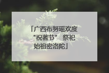 广西布努瑶欢度“祝著节” 祭祀始祖密洛陀