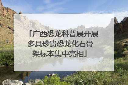 广西恐龙科普展开展 多具珍贵恐龙化石骨架标本集中亮相