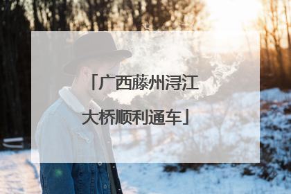广西藤州浔江大桥顺利通车