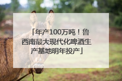 年产100万吨！鲁西南最大现代化啤酒生产基地明年投产