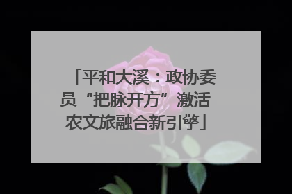 平和大溪：政协委员“把脉开方”激活农文旅融合新引擎