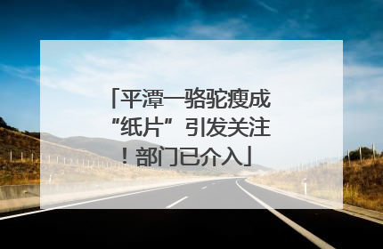 平潭一骆驼瘦成“纸片”引发关注！部门已介入