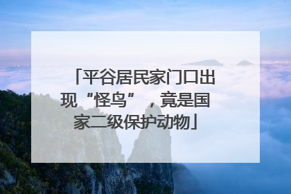 平谷居民家门口出现“怪鸟”，竟是国家二级保护动物