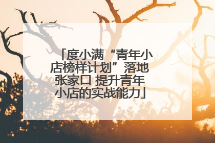 度小满“青年小店榜样计划”落地张家口 提升青年小店的实战能力