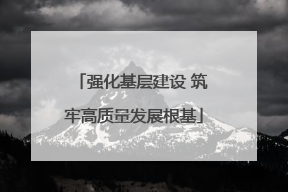 强化基层建设 筑牢高质量发展根基