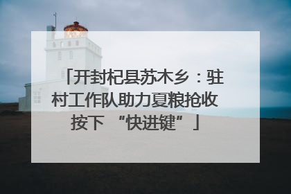 开封杞县苏木乡：驻村工作队助力夏粮抢收按下 “快进键”