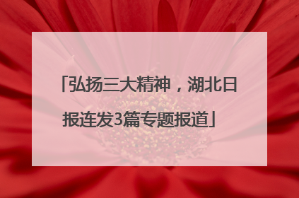 弘扬三大精神，湖北日报连发3篇专题报道