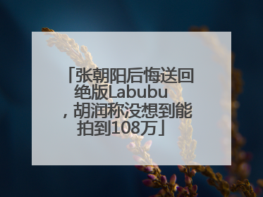 张朝阳后悔送回绝版Labubu，胡润称没想到能拍到108万